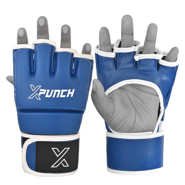 xpunch_alpha_blue1