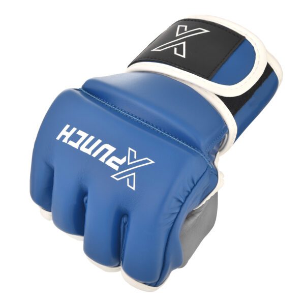 xpunch_alpha_blue2