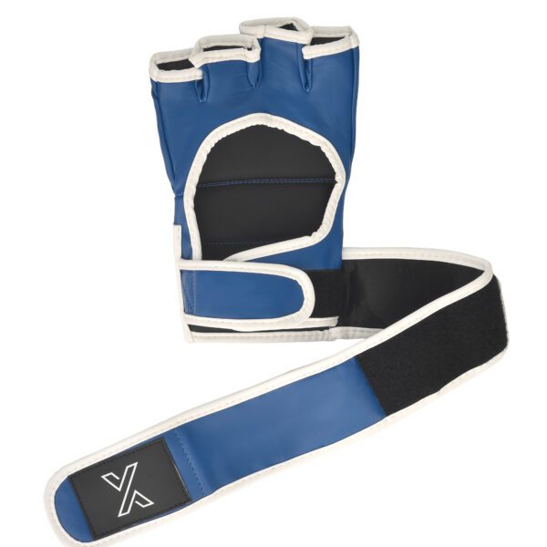 xpunch_alpha_blue3