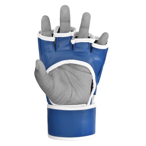 xpunch_alpha_blue4