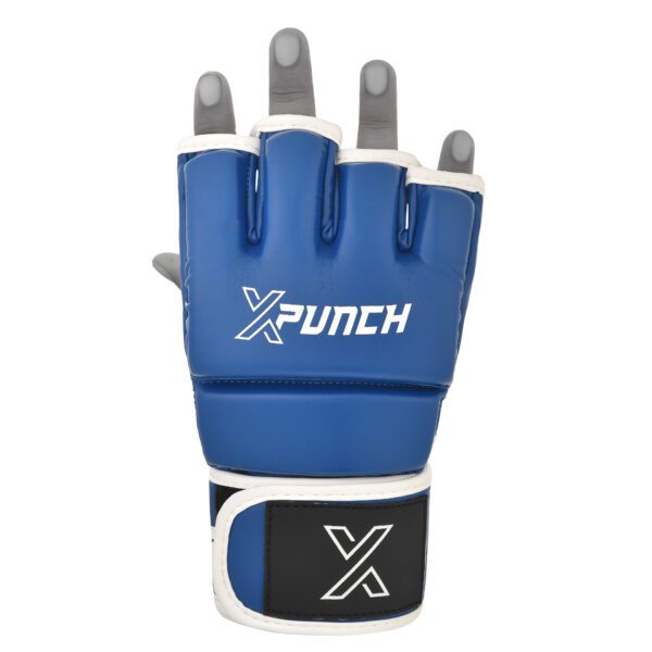 xpunch_alpha_blue5