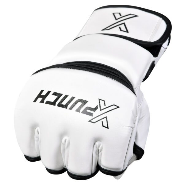 xpunch_alpha_white2