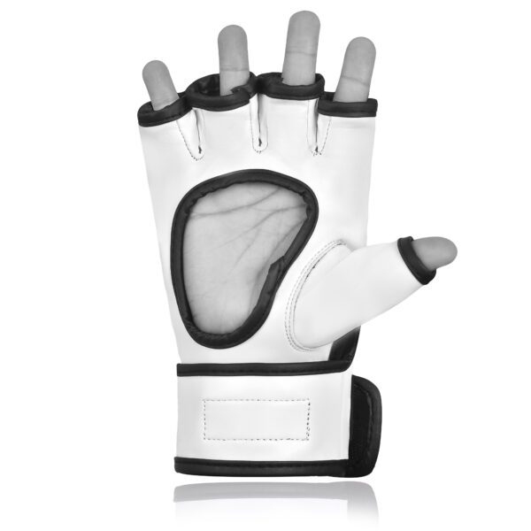 xpunch_alpha_white4