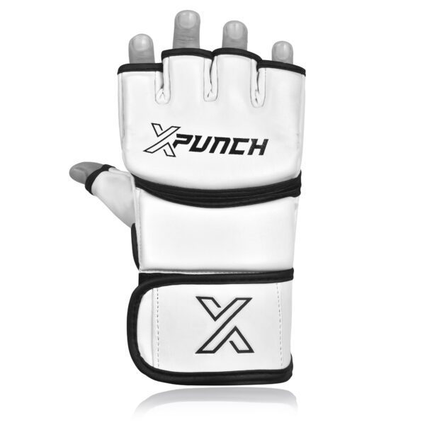 xpunch_alpha_white5