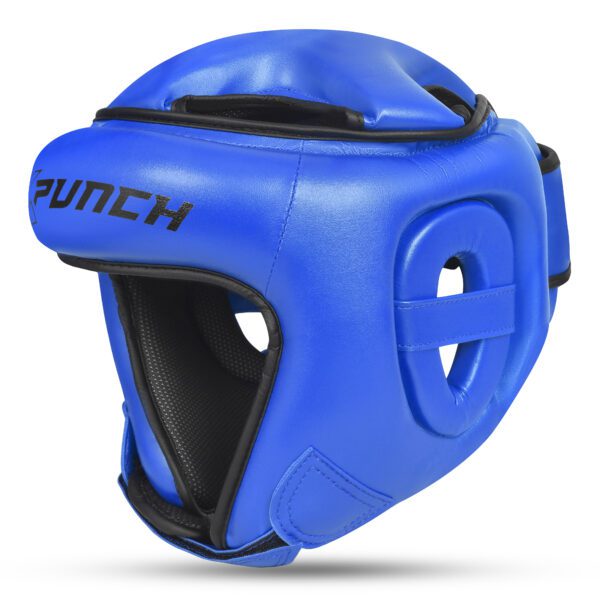xp_guardianblue1