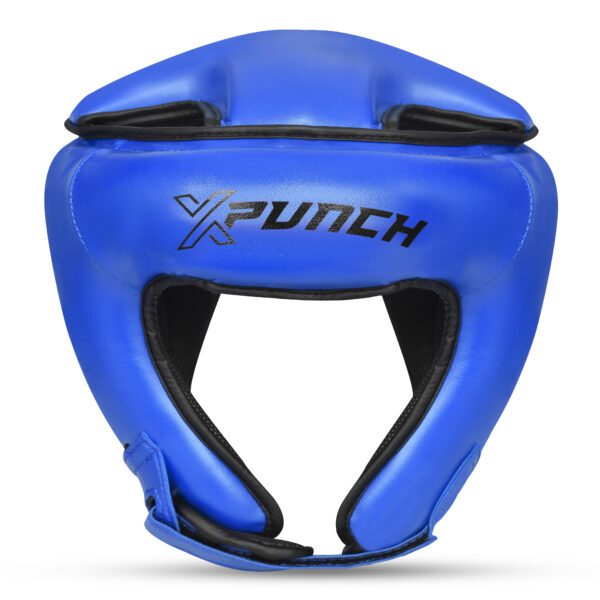 xp_guardianblue2