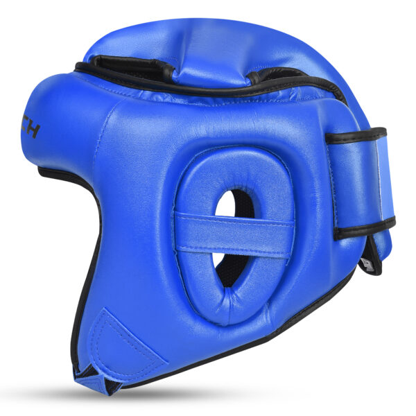 xp_guardianblue3