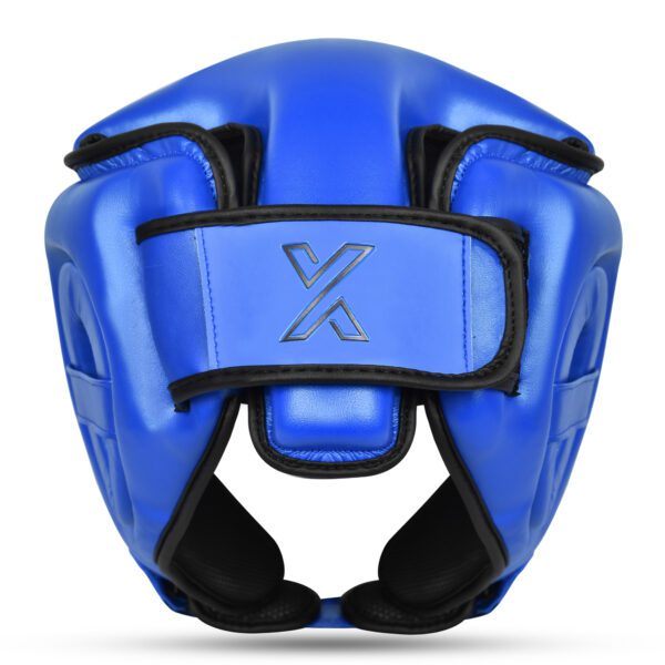 xp_guardianblue4