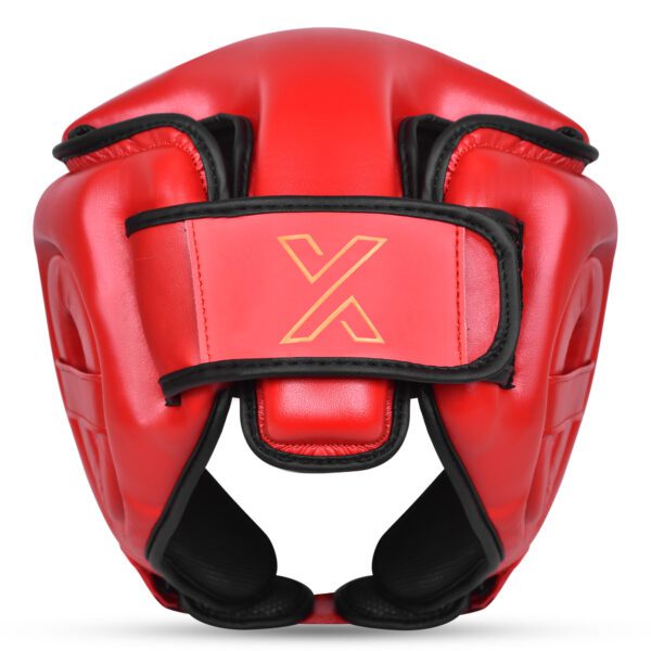 xp_guardianred4